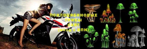 спайс Карпинск