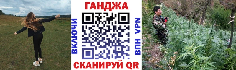 Купить закладки  Славгород  Конопля индика 